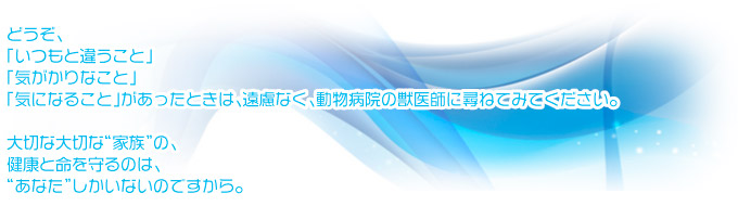 どうぞ、「いつもと違うこと」「気がかりなこと」「気になること」があったときは、遠慮なく、動物病院の獣医師に尋ねてみてください。大切な大切な“家族”の、健康と命を守るのは、“あなた”しかいないのですから。